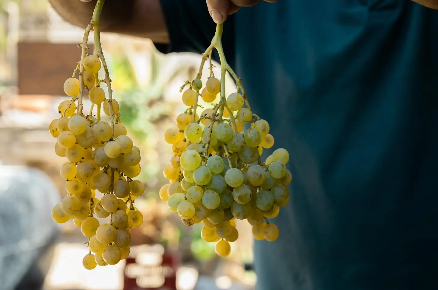 Ionian Symphony: Visit all Ionian Highlights in Absolute Luxury