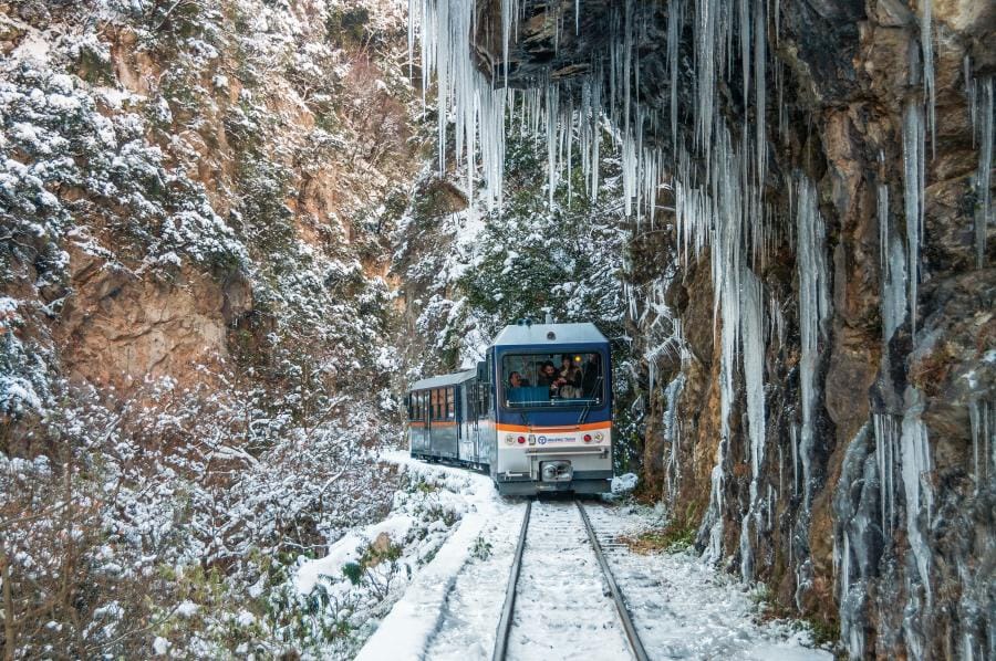 plous concierge odontotos