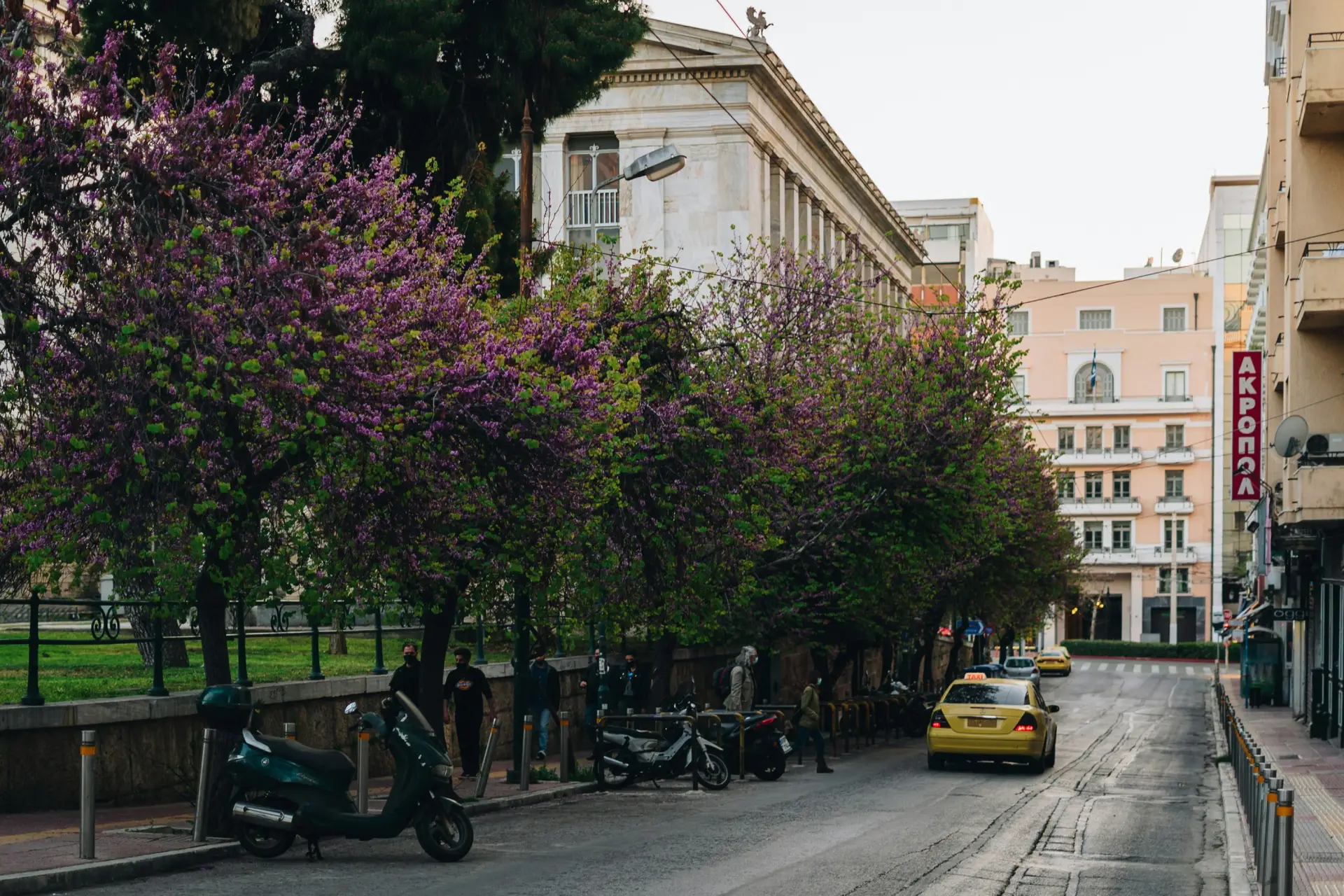Greece in April: What the Experience Actually Feels Like 2 view of an Athenian street with blossomed trees