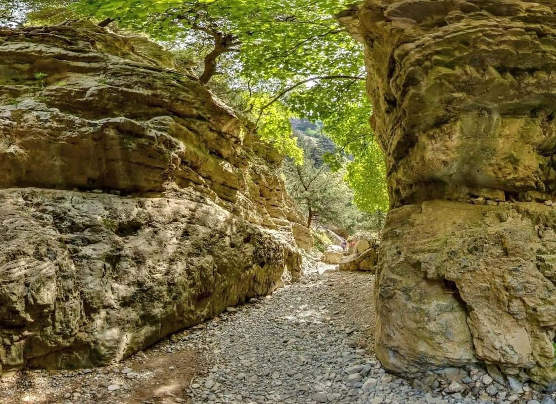 path between rock formations and trees at Imbros gorge