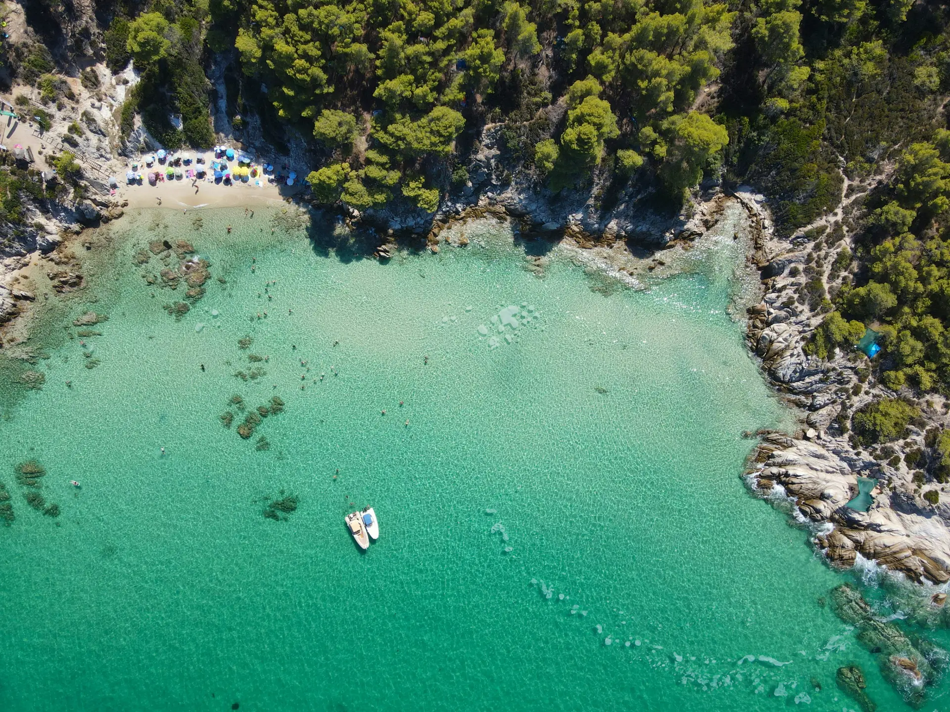lush greenery coast with green waters at Halkidiki