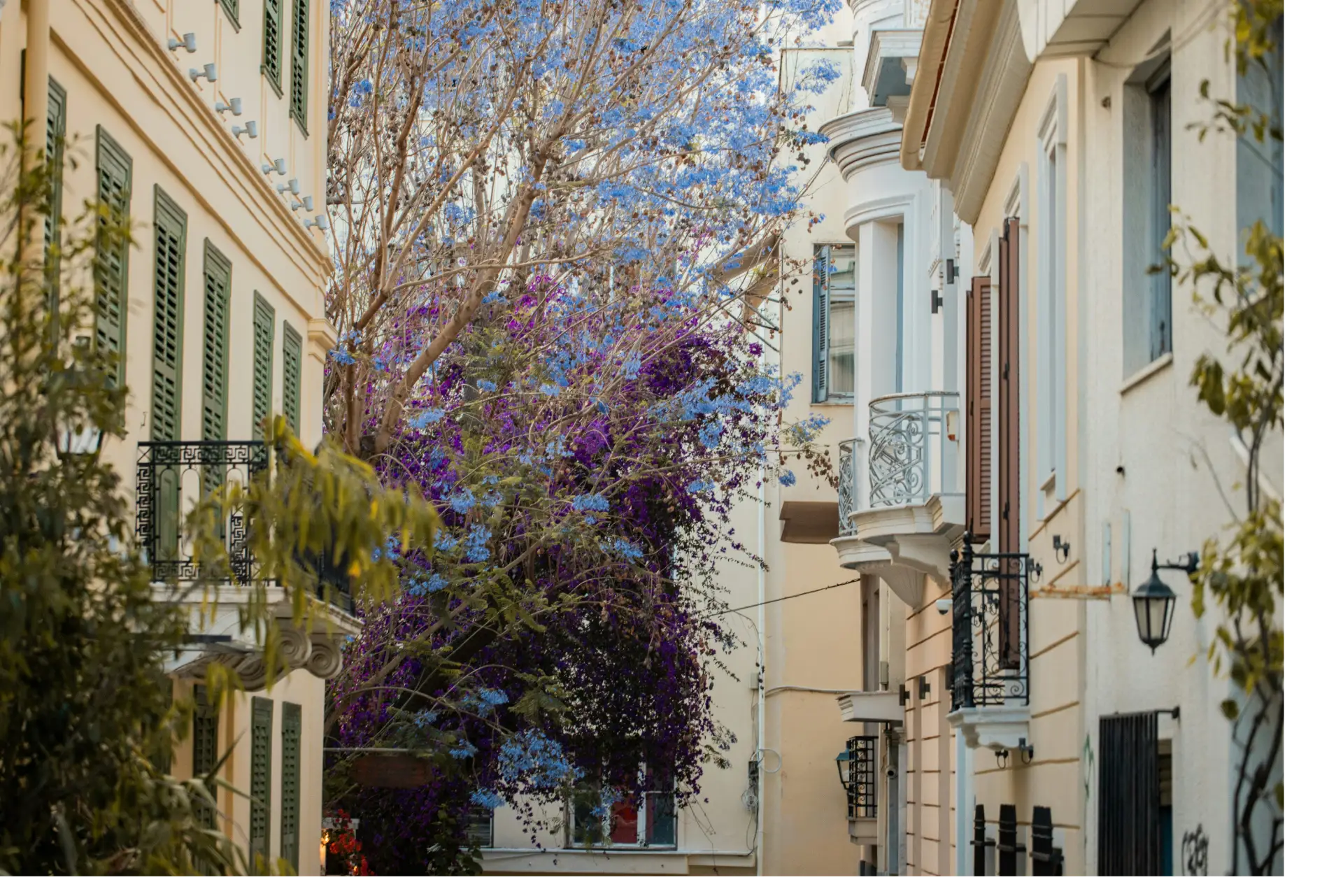 Why Greece Is Betting Big on Autumn and Winter Travel for 2026–2027 2 Plaka's buildings