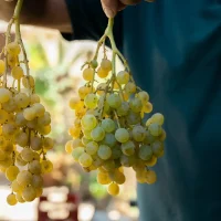 Ionian Symphony: Visit all Ionian Highlights in Absolute Luxury